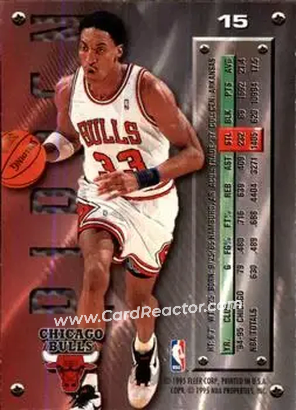 Back of Scottie Pippen