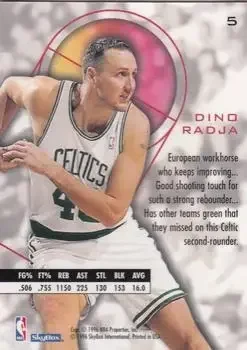 Back of Dino Radja