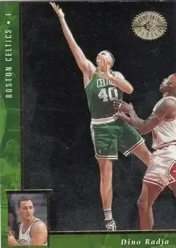 1995-96 SP Championship #8 Dino Radja