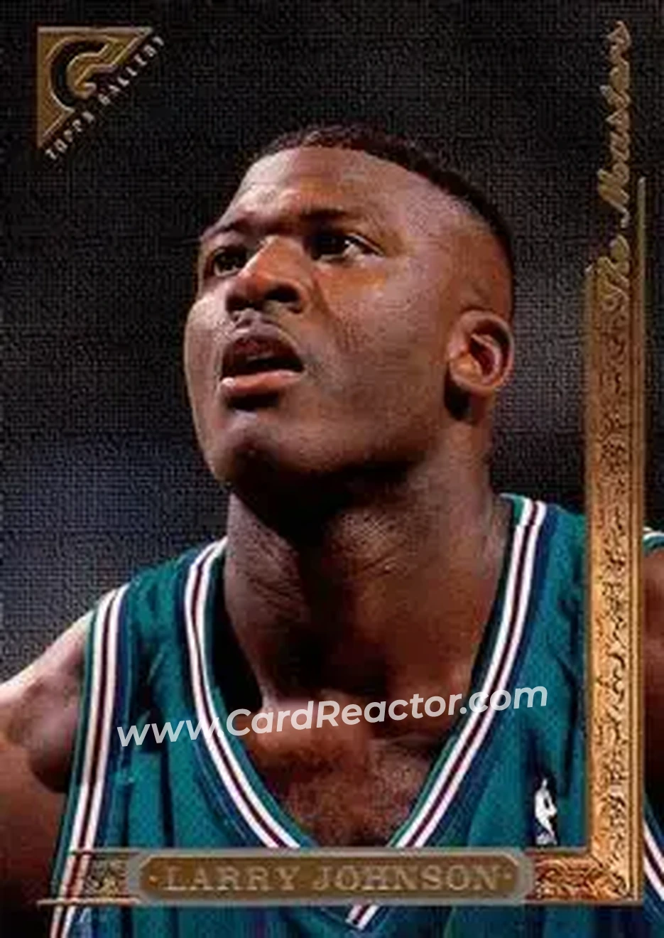 Front of Larry Johnson
