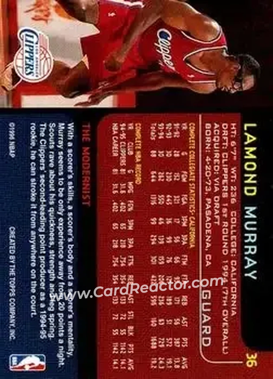 Back of Lamond Murray