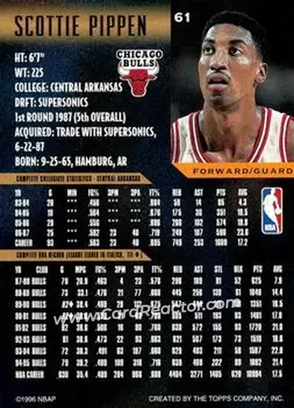 Back of Scottie Pippen