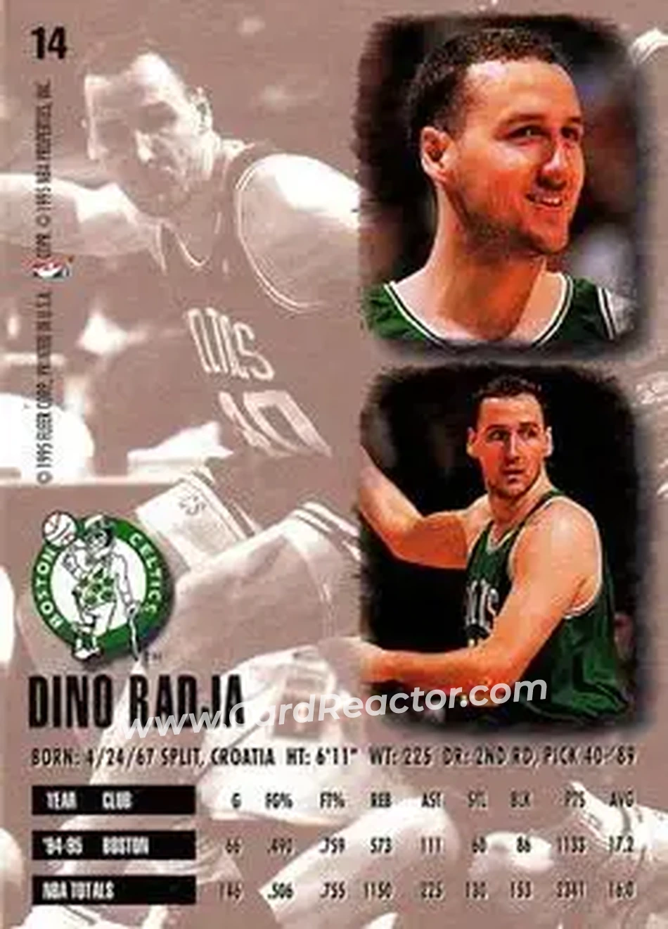 Back of Dino Radja