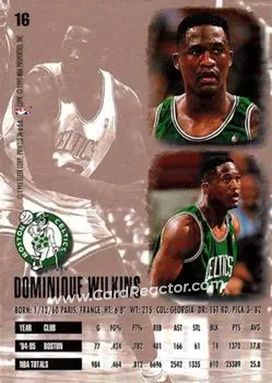 Back of Dominique Wilkins