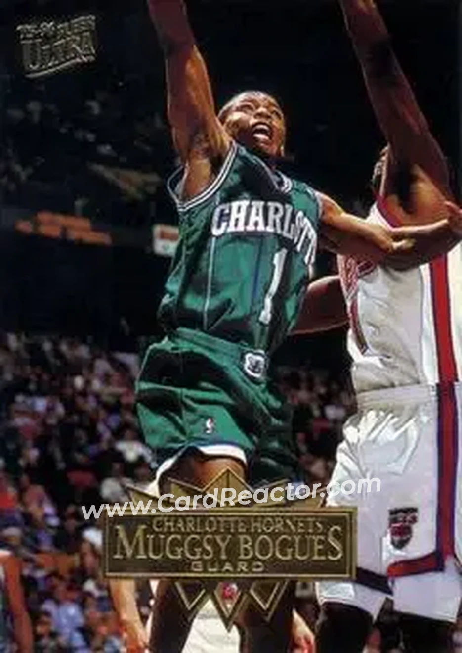 Front of Muggsy Bogues
