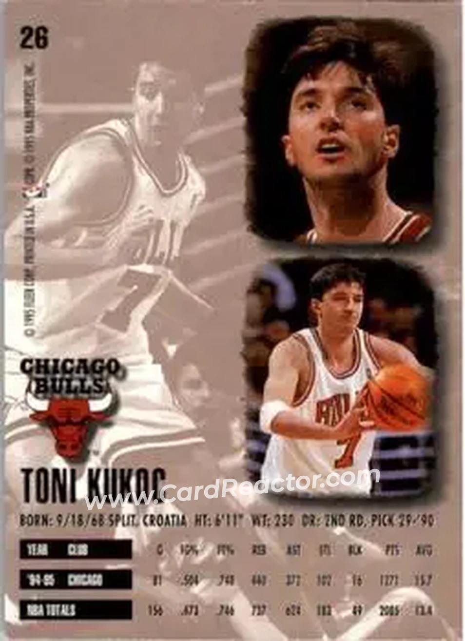 Back of Toni Kukoc