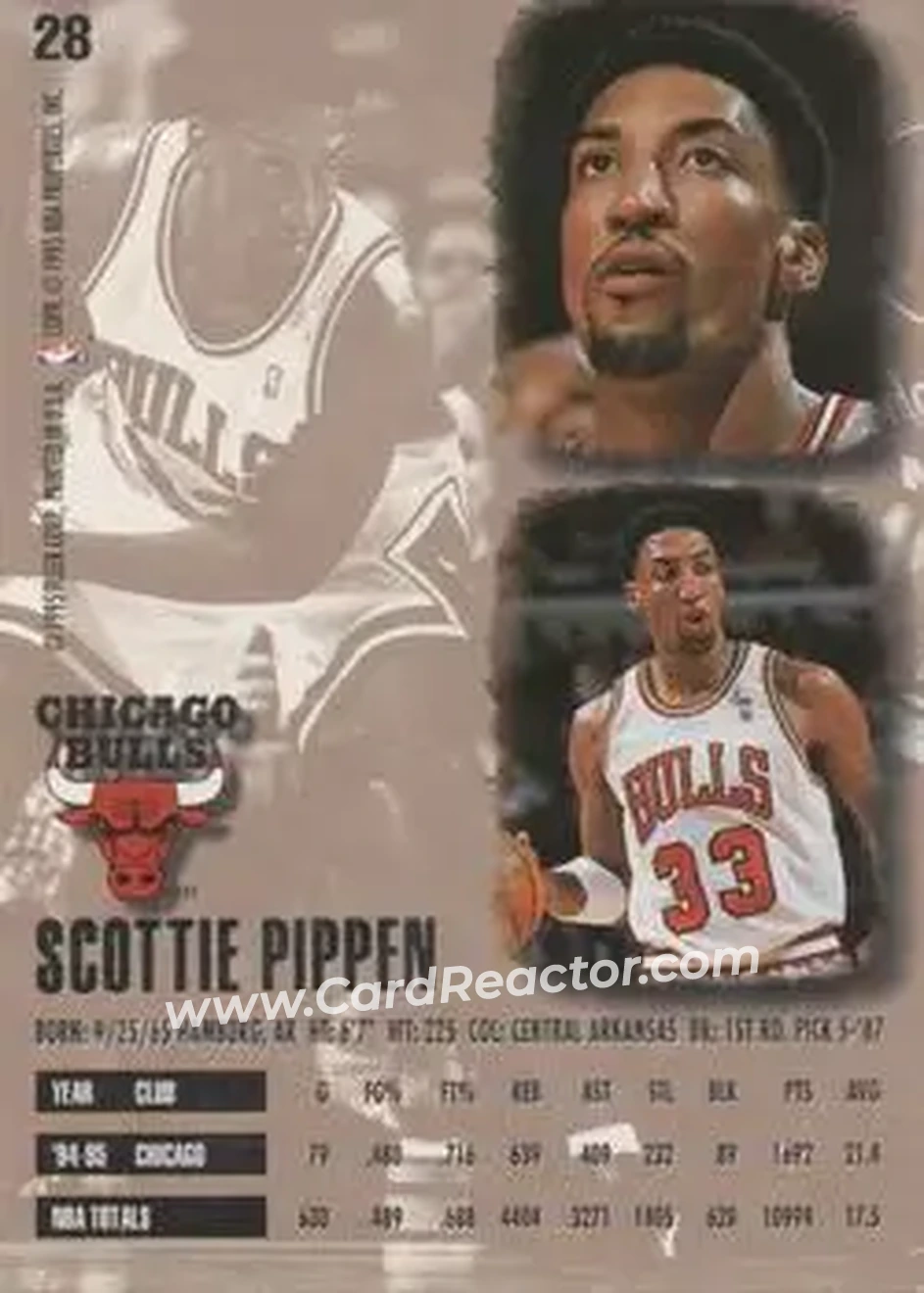Back of Scottie Pippen