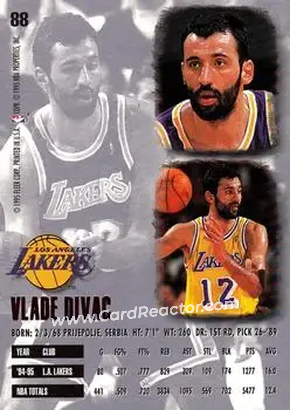 Back of Vlade Divac