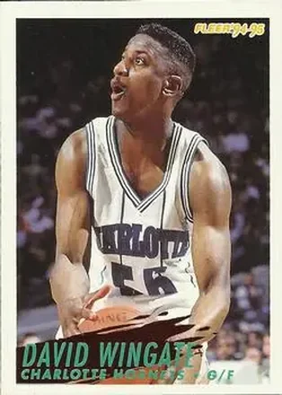 1994-95 Fleer #28 - David Wingate - Charlotte Hornets 1994-95 Fleer #28 - David Wingate - Charlotte Hornets