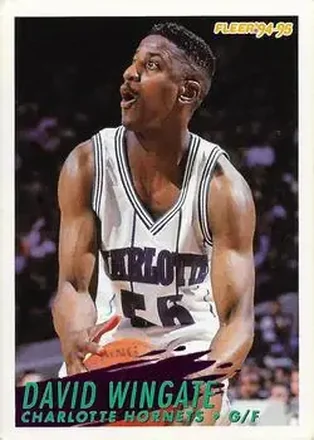 1994-95 Fleer European #29 - David Wingate - Charlotte Hornets 1994-95 Fleer European #29 - David Wingate - Charlotte Hornets
