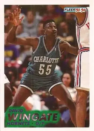 1993-94 Fleer #24 David Wingate