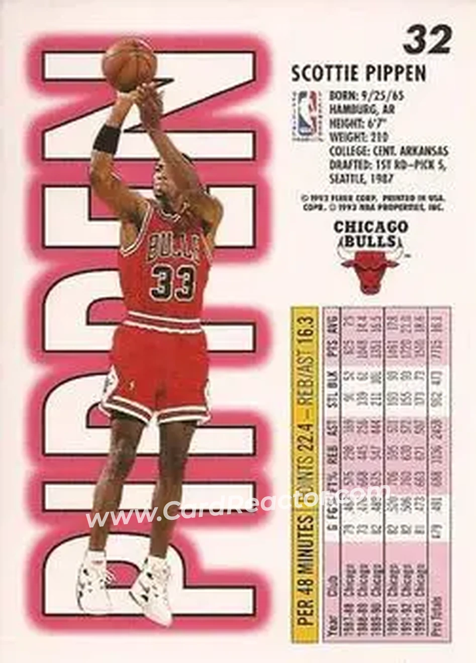 Back of Scottie Pippen