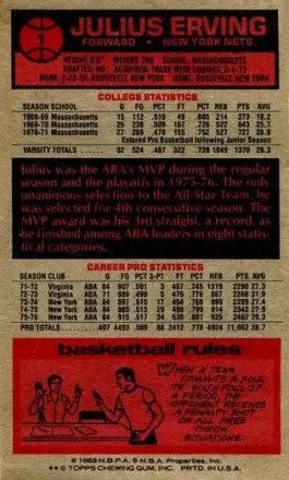 Julius Erving back