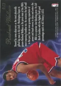 Back of Rasheed Wallace