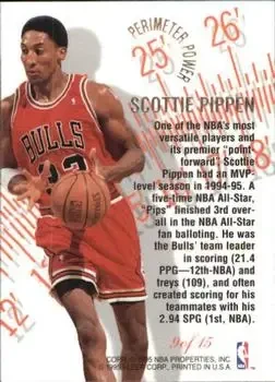 Back of Scottie Pippen