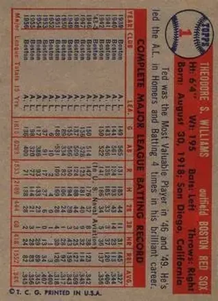 Ted Williams 裏面