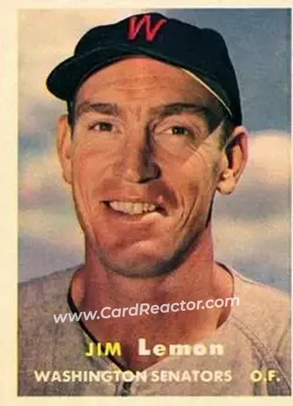 확대 카드 이미지