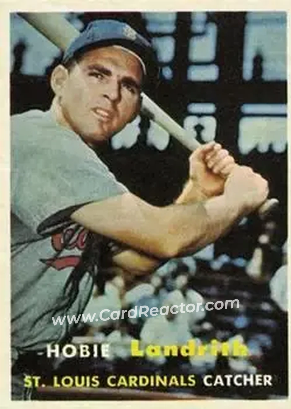 Front of Hobie Landrith