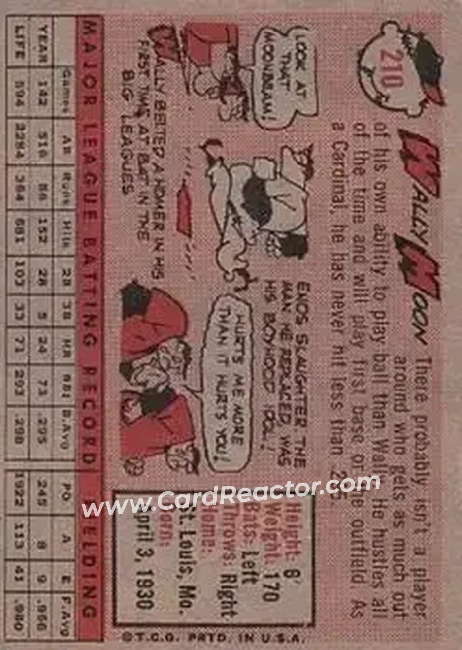 Back of Wally Moon