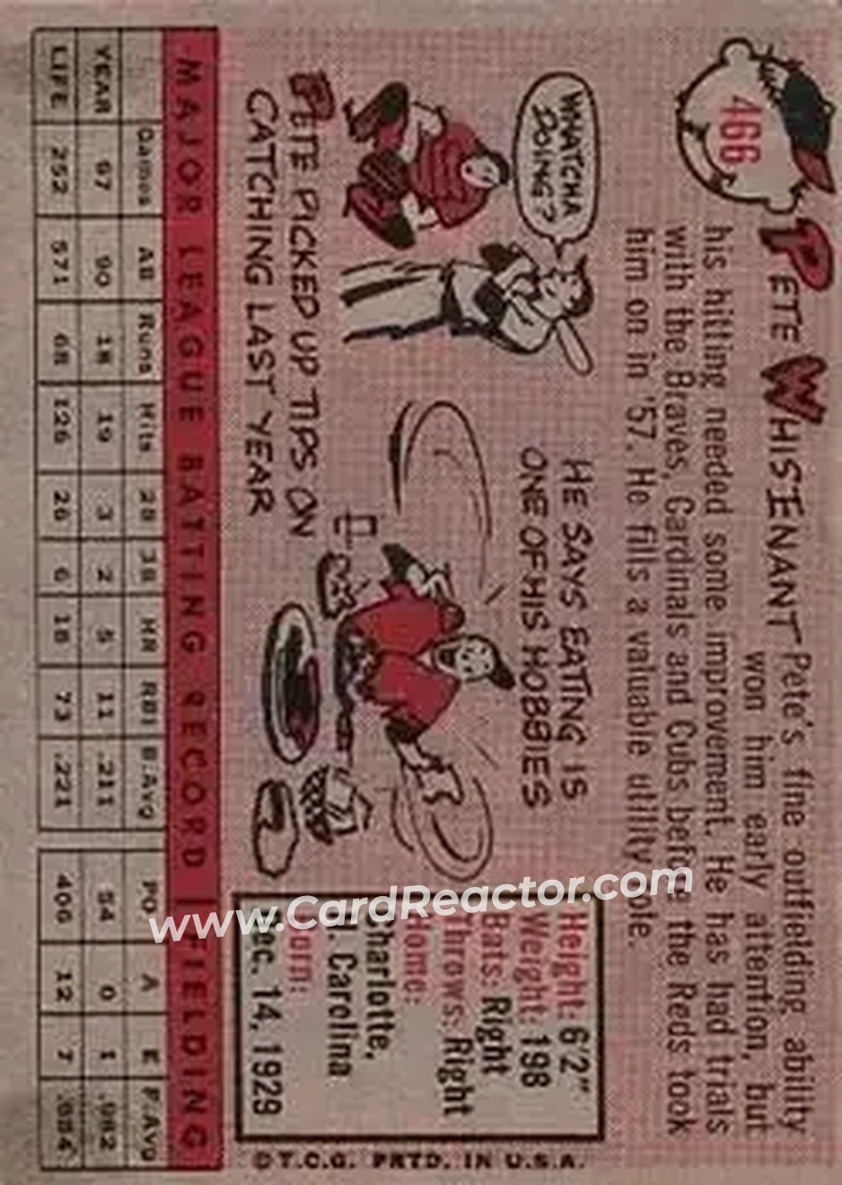 Back of Pete Whisenant
