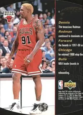 Dennis Rodman back