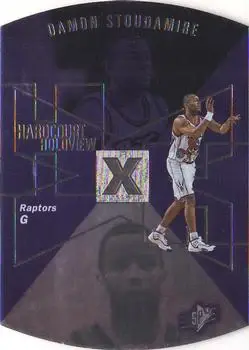 Damon Stoudamire