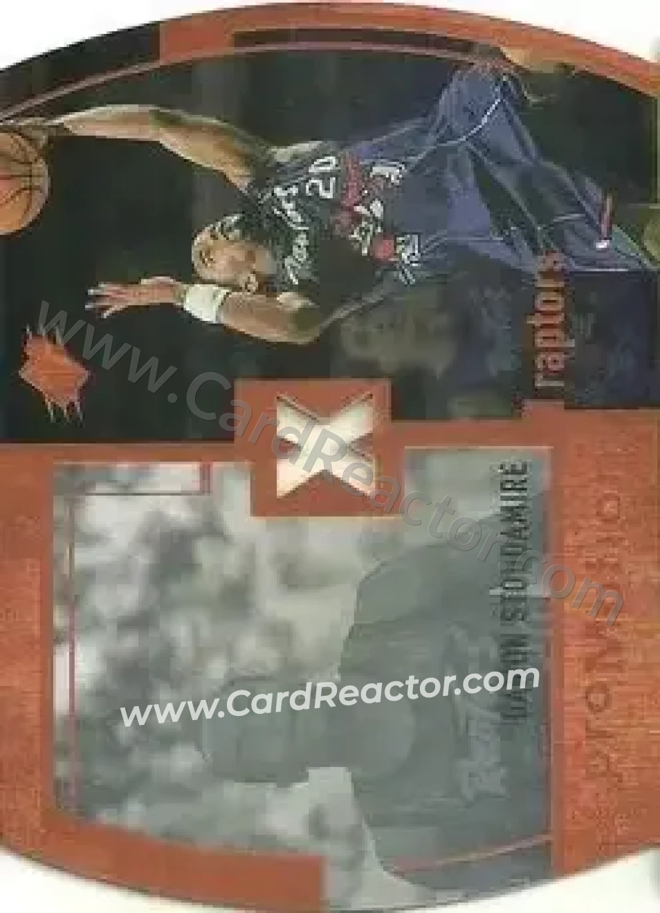 Damon Stoudamire