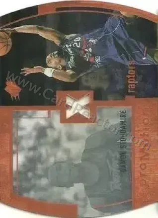 Damon Stoudamire