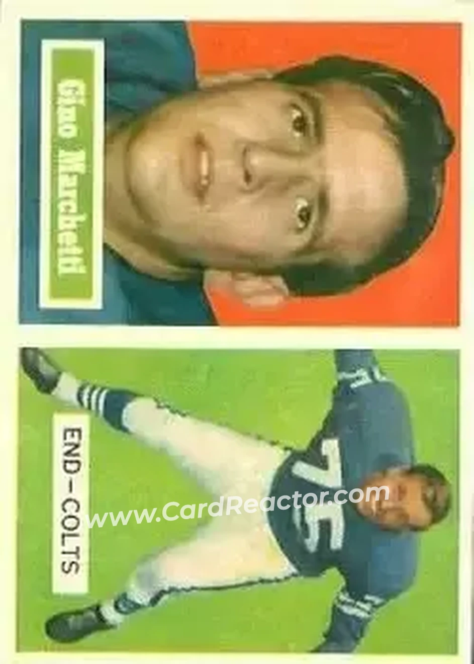 Front of Gino Marchetti