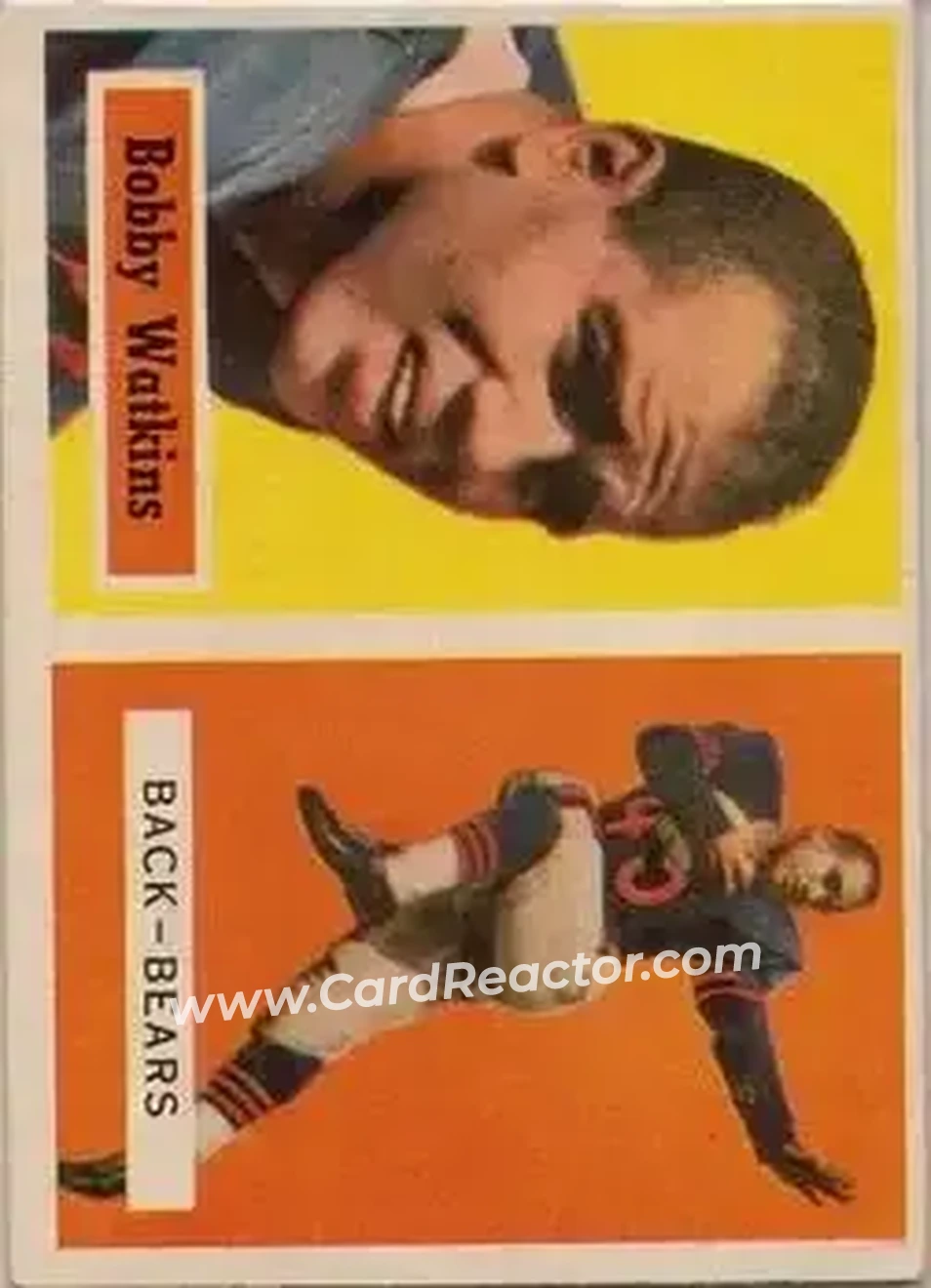 Immagine carta ingrandita