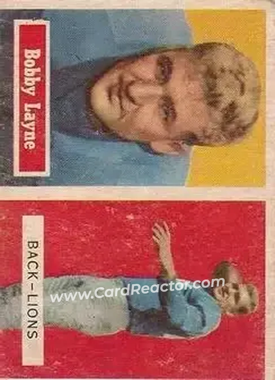 Immagine carta ingrandita