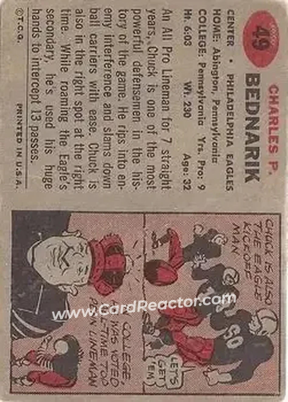 Back of Chuck Bednarik