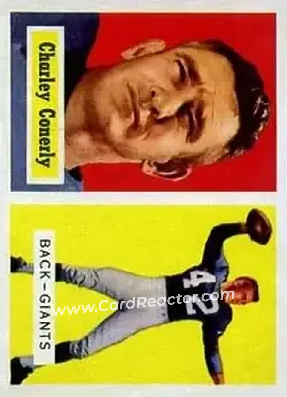 Powiększony obraz karty