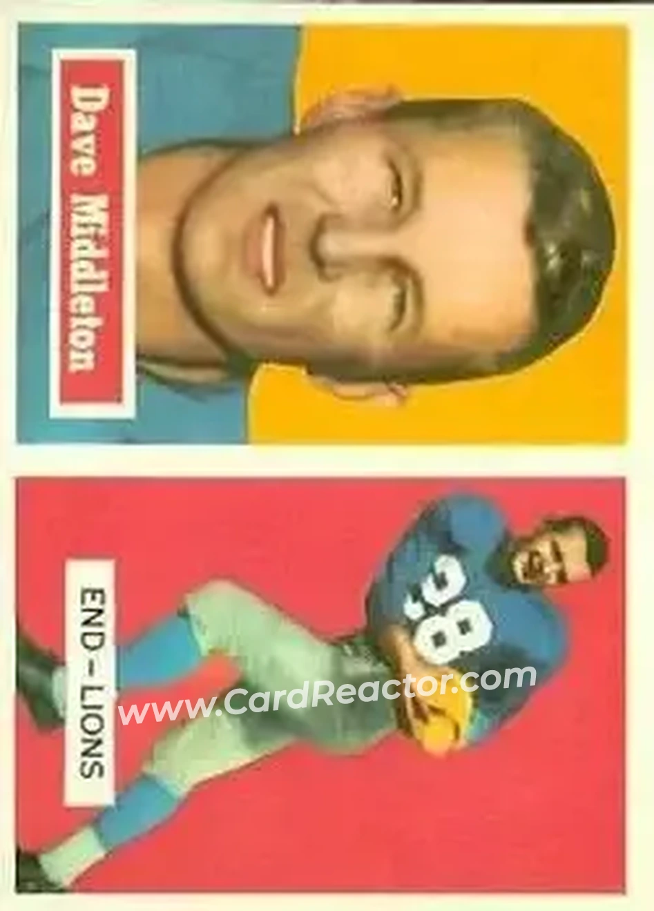 Front of Dave Middleton