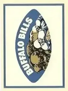 1960 Fleer #NNO Card #NNO