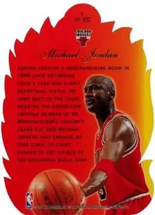Retro di Michael Jordan