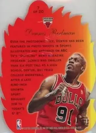 Dennis Rodman back