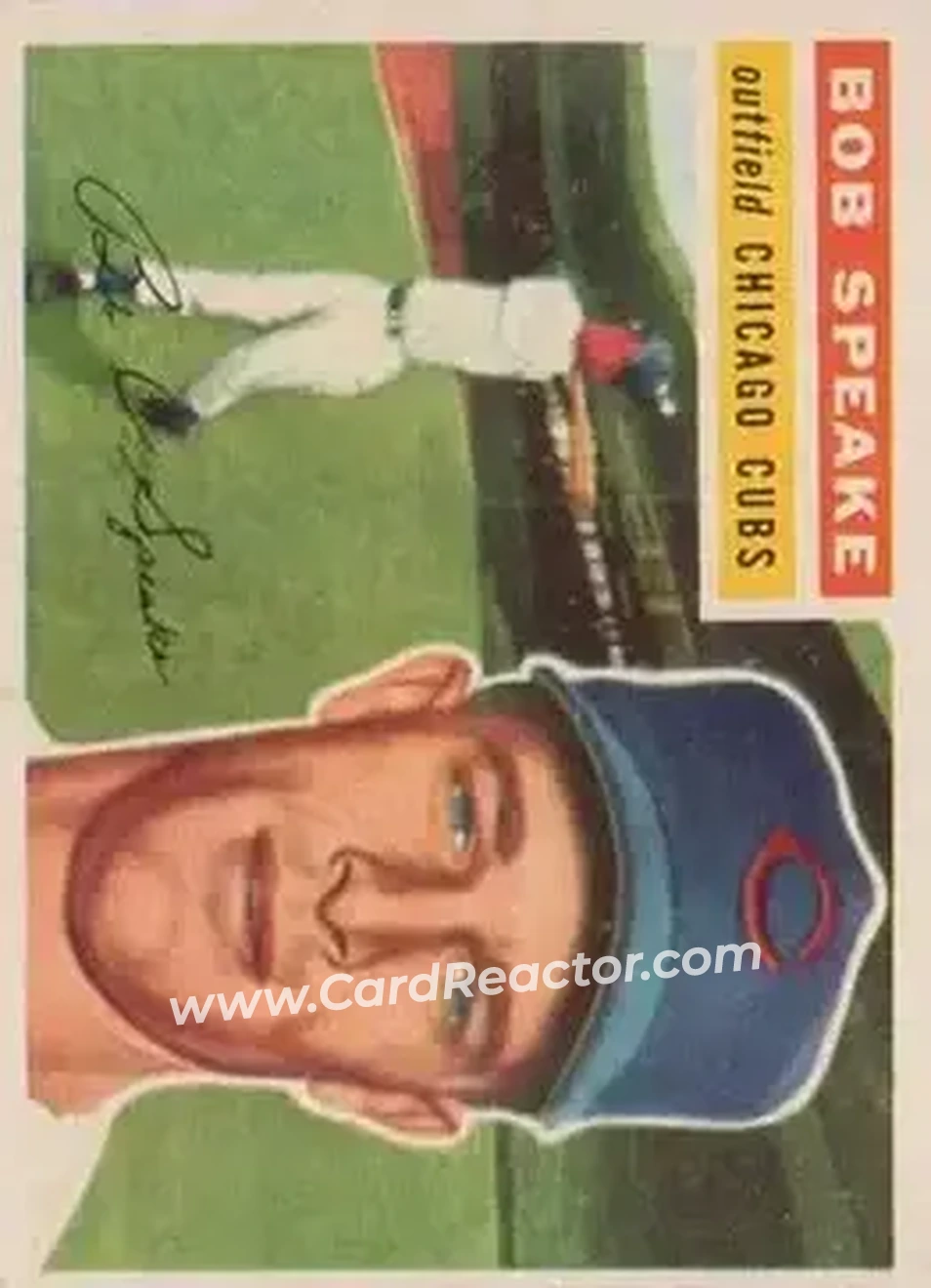 Bob Speake