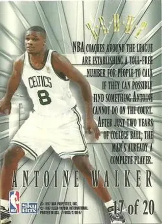 Tył: Antoine Walker