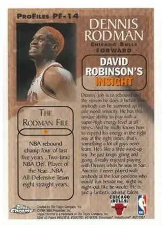 Reverso de Dennis Rodman