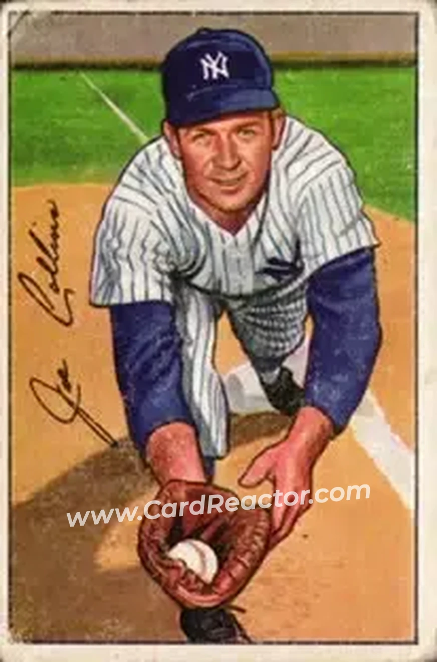 Joe Collins