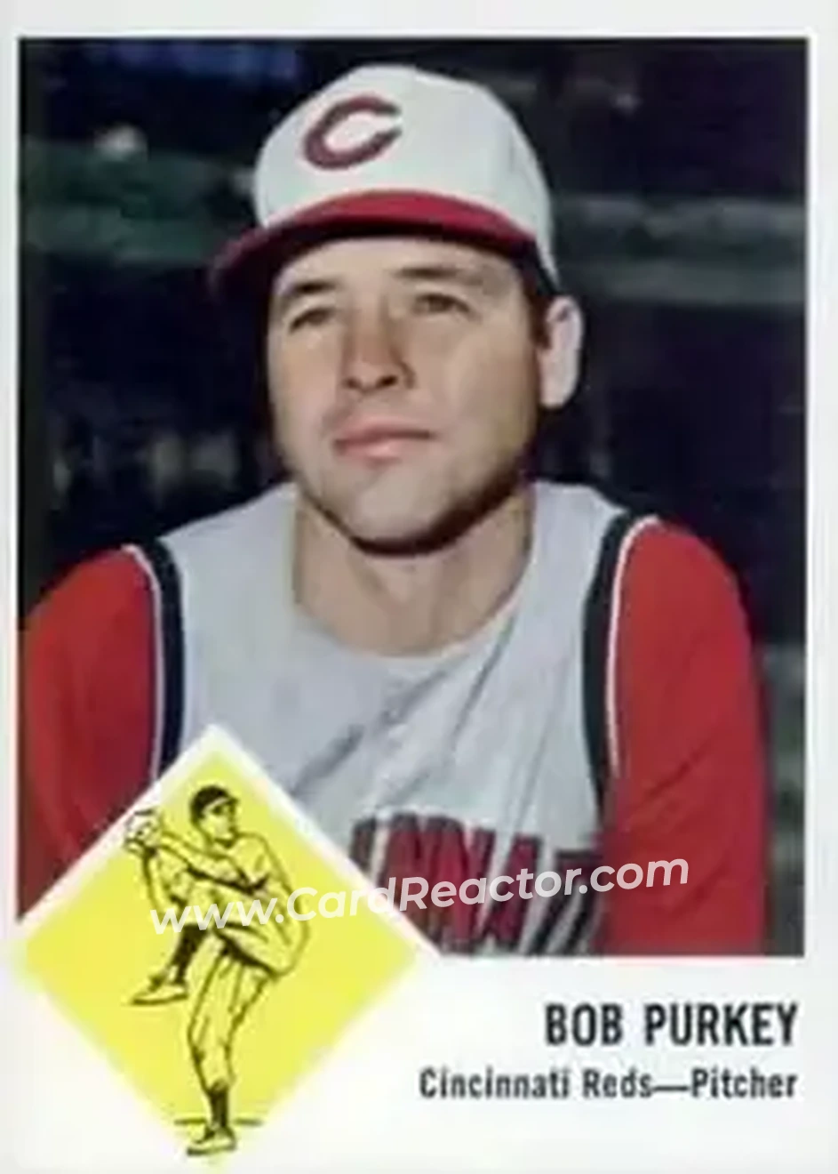 Bob Purkey