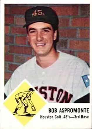 Houston Colt .45s