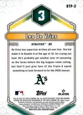 Leo De Vries Rückseite