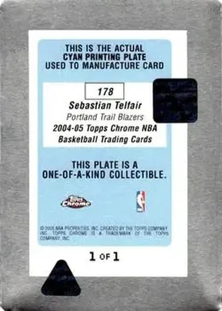 Retro di Sebastian Telfair