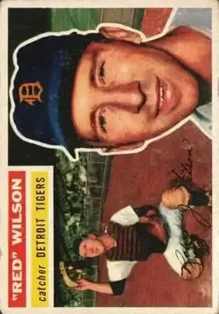 Bob Wilson