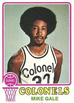 1973-74 Topps #228 Mike Gale