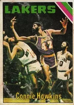 #195 - Connie Hawkins