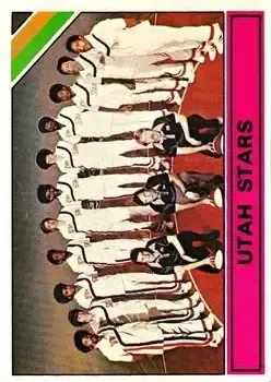 1975-76 Topps #329 Card #329