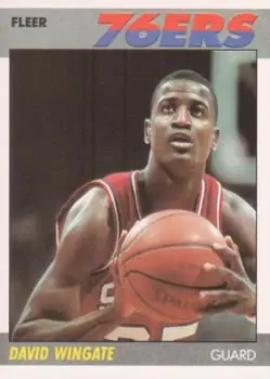 1987-88 Fleer #125 David Wingate